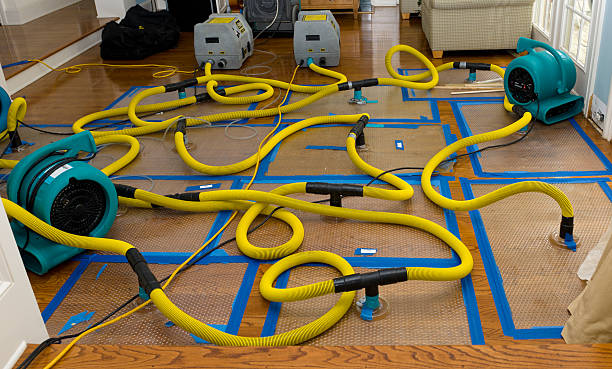 Professional Structural Drying And Dehumidification technician working in Gregory, MI